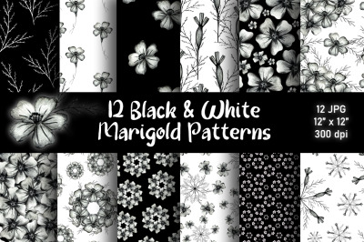 12 Black and White Flower Digital Paper. Monochrome Marigold Seamless Patterns.