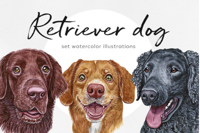 Retriever dog. Watercolor cute set 6 dogs breeds