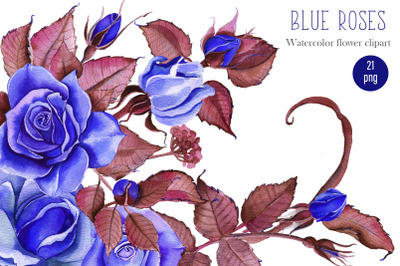Watercolor Flowers Clipart Blue Roses