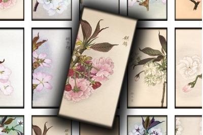 Digital Collage Sheet - Japanese Sakura