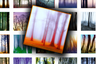 Digital Collage Sheet - Misty Trees