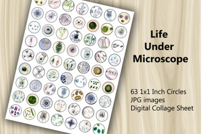 Digital Collage Sheet - Life Under Microscope