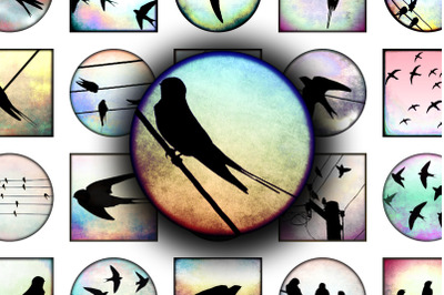 Digital Collage Sheet - World of Swallows