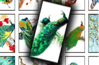Digital Collage Sheet - Peacocks
