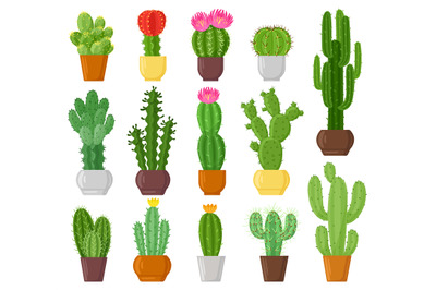 Cartoon potted cactuses, desert plants, cacti and succulents. Indoor p