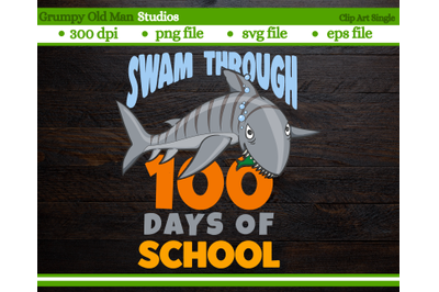 swam through 100 days of school | tiger shark