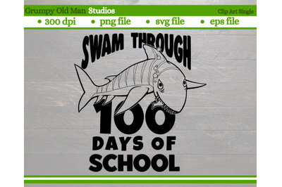 swam through 100 days of school | tiger shark