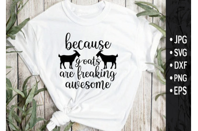 because goats are freaking awesome