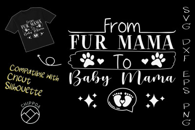 From Fur Mama To Baby Mama Dog Cat Owner