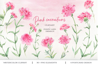 Pink carnations watercolor clipart. Happy mother&#039;s day