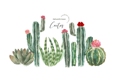 Succulent Cactus Peach Flower Clipart&2C; Botanical Cacti Plant