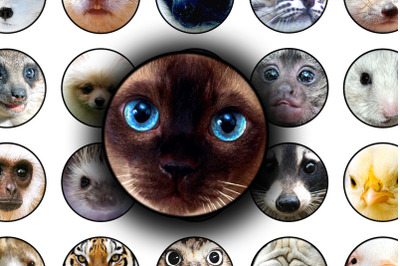 Digital Collage Sheet - Fauna&#039;s Face