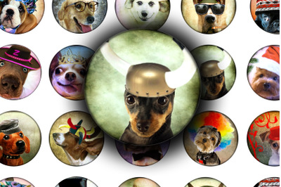 Digital Collage Sheet - Funny Dogs