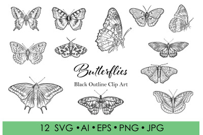 Butterflies lineart clipart. Black outline Individual clipart PNG. But