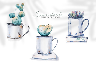 Watercolor potted succulent sublimation / cactus clipart