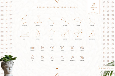 Zodiac Constellations &amp; Signs