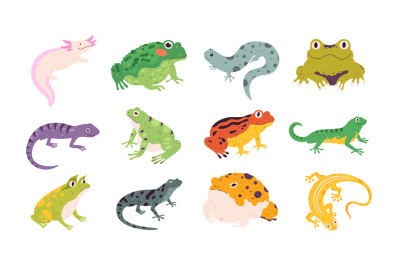 Tropical colorful decorative amphibian frogs, lizards and toads. Terra