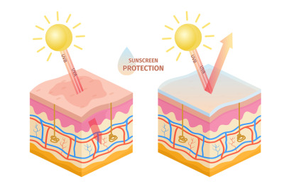 Human skin uv rays protection, before and after sunscreen. Sun uva, uv