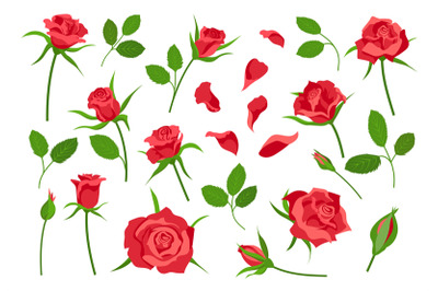 Cartoon rose flower elements, leaves, stem, petals and buds. Red bloom