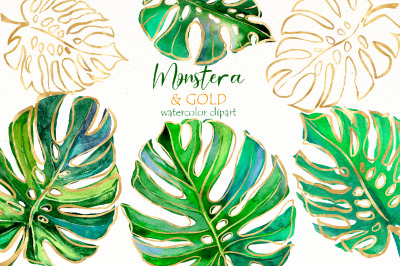 Watercolor Monstera clipart, Tropical Leaves clip art, Greenery floral