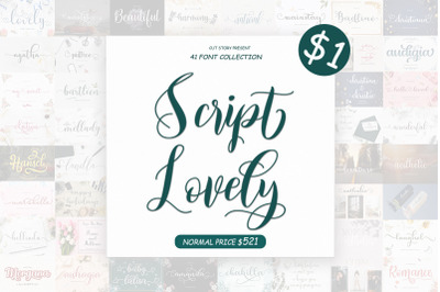 41 Font Script Lovely Collection