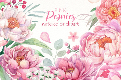 Watercolor Peonies Floral clipart, Light Pink flowers png.