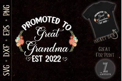 Promoted to Great Grandma 2022 New Baby