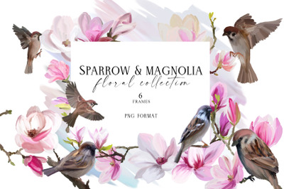 Sparrow and magnolia - hand drawn floral frames PNG
