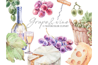 Watercolor vine bottle, wine, grape clipart- 11 png files