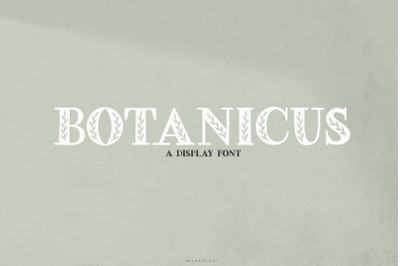 Botanicus | A Decorative Display Font