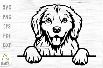 Dog monogram svg Golden retriever face svg design for sign