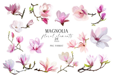 Magnolia flowers, hand drawn floral elements PNG