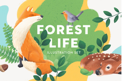 Forest Life Illustration Clipart Set