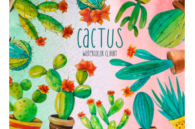 Cactus watercolor hand-painted clipart Succulent elements