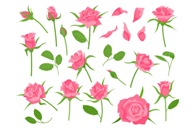 Cartoon blooming pink rose flower, green leaf, petal and bud. Classic