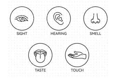 Five Human Senses Icons SVG