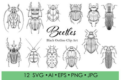 Bugs, beetles lineart clipart. Black outline Individual clipart.
