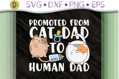 Promoted From Cat Dad To Human Dad