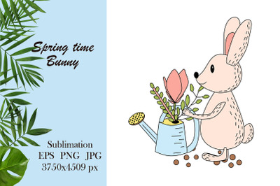 Spring illustration - bunny sublimation png