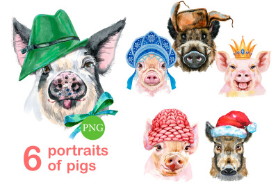Cute watercolor pigs. Part 7