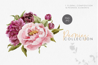 Watercolor peonies clipart, Spring flower elements