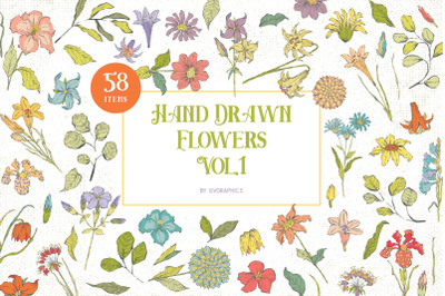 Hand Drawn Flowers Illustrations Vol. 1