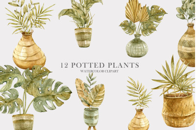 Watercolor potted boho plants -12 png