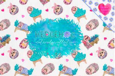 Hedgehogs, Watercolor collection
