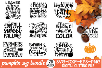 Pumpkin SVG bundle