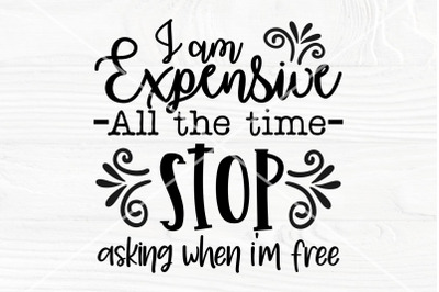 I am expensive all the time SVG | Funny Saying svg