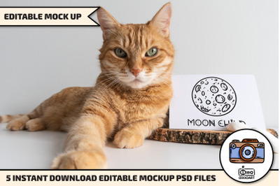 Cat Postcards Mockups