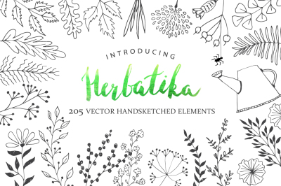 Herbatika Vector Sketched Set