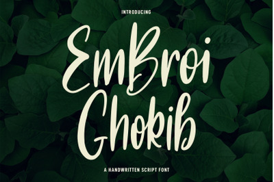 Embroi Ghokib Handwritten Script Font