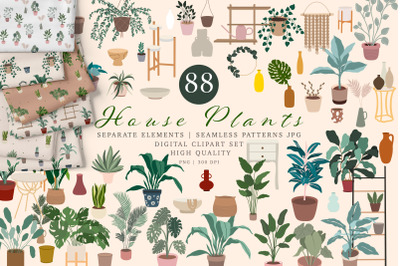 House Plants Clipart, Seamless Patterns